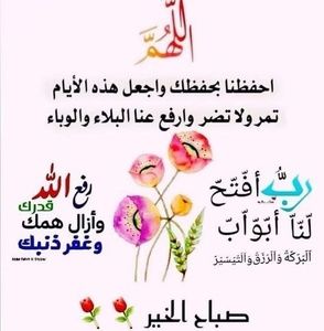 Meet your Posher, Mohamed cherif